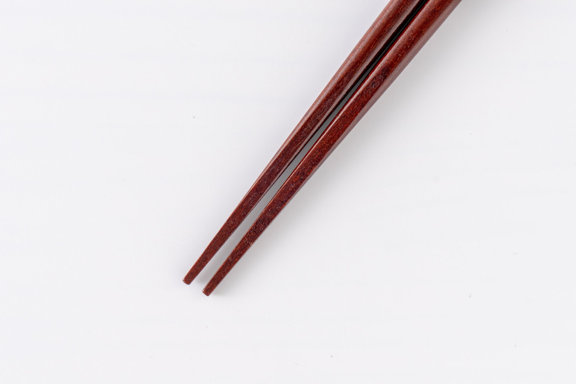 金座招き猫 夫婦箸セット