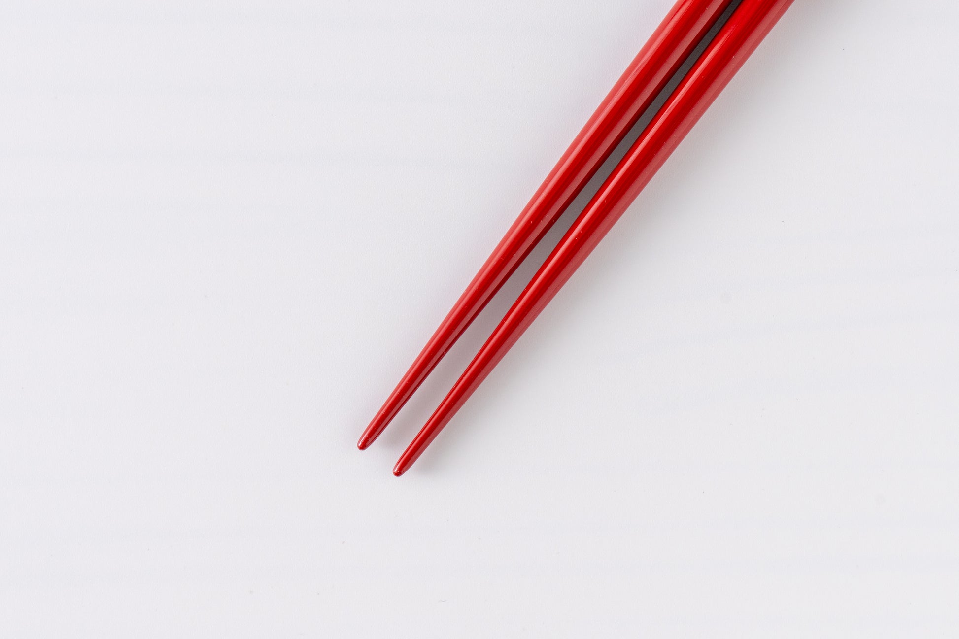 越前塗 花明かり 夫婦箸セット